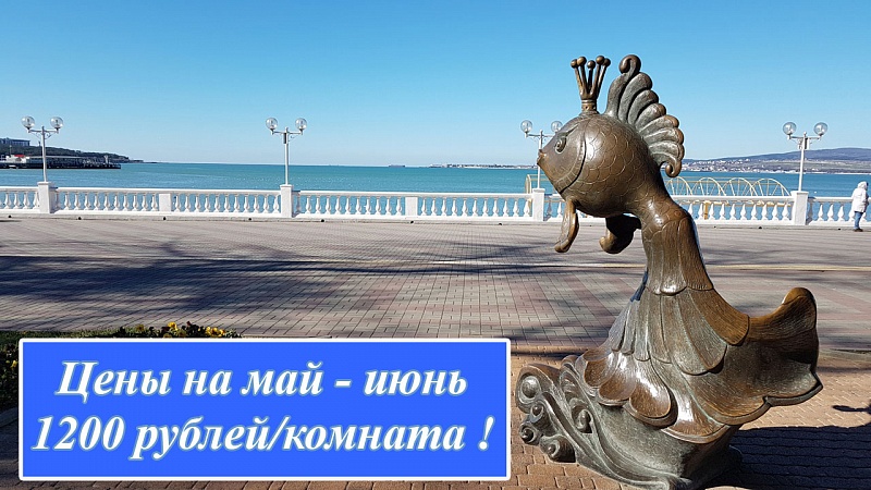 Начало летнего сезона !